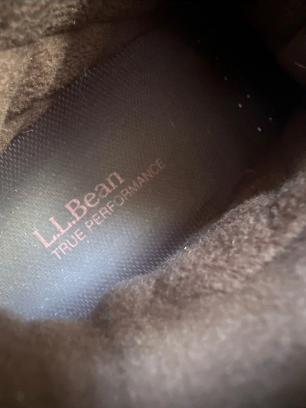 L.L. Bean excellent bean